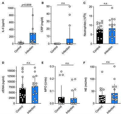 Markers of NETosis Do Not Predict Neonatal Early Onset Sepsis: A Pilot Study